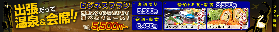 �o�������ĉ��򁕉��!!�@�r�W�l�X�v�����@�[�H�͑I�ׂ�2�R�[�X�@1��2�F�t8,550�~
